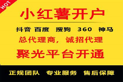Sem优化公司案例：精准广告投放策略解析